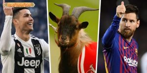 Cầu thủ nào xứng đáng là GOAT bóng đá? Cuộc chiến không hồi kết